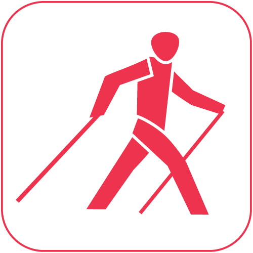 Piktogramm Nordic Walking